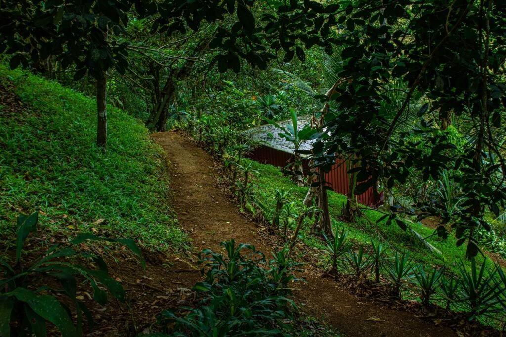 Cabana En La Montana Venecia Zewnętrze zdjęcie